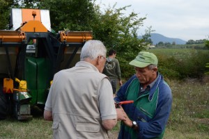 vendemmia