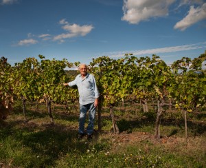 vendemmia pietro