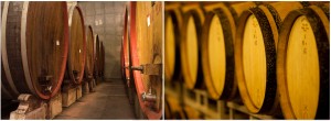 botte grande legno & barrique