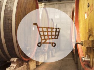 copertina petriolo eshop 1