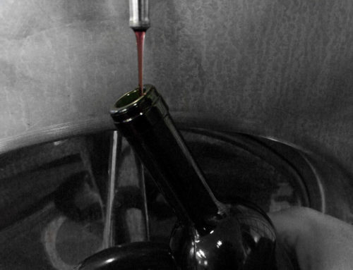 Imbottigliamento del vino | Come si fa?