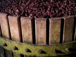 copertina svinatura