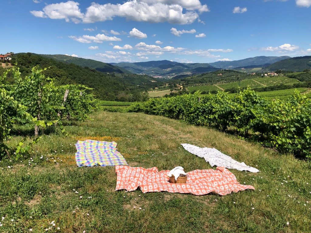 degustazioni picnic