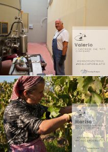 Noalcaporalato vendemmia 2015