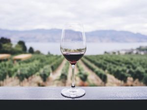 copertina chianti america