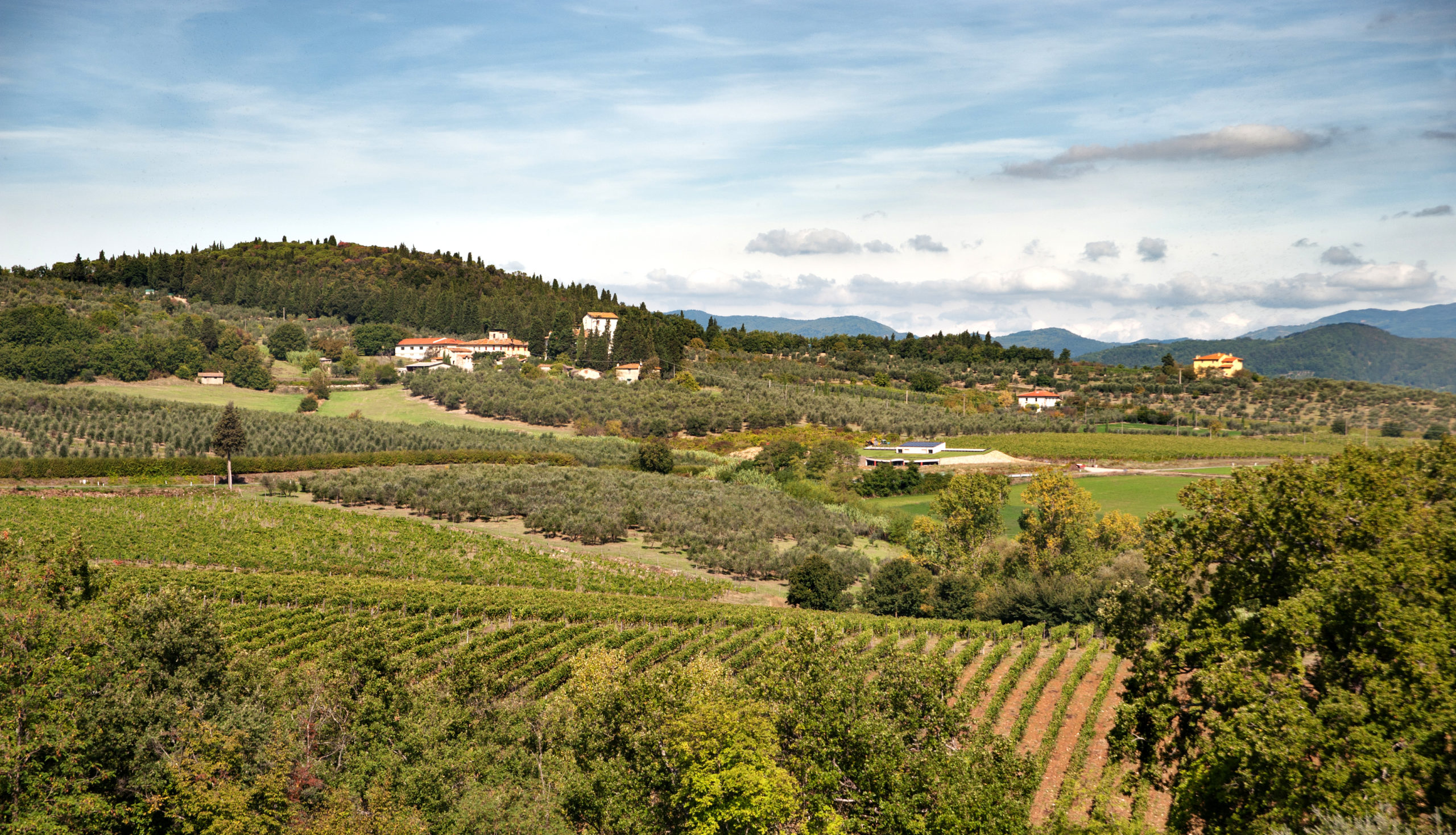 Tenuta tenuta 1 fattoria petriolo