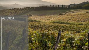 azienda ita fattoria petriolo