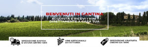 wine shop copertina